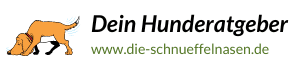 Der ultimative Wegweiser für ein glückliches Leben mit deinem Hund!